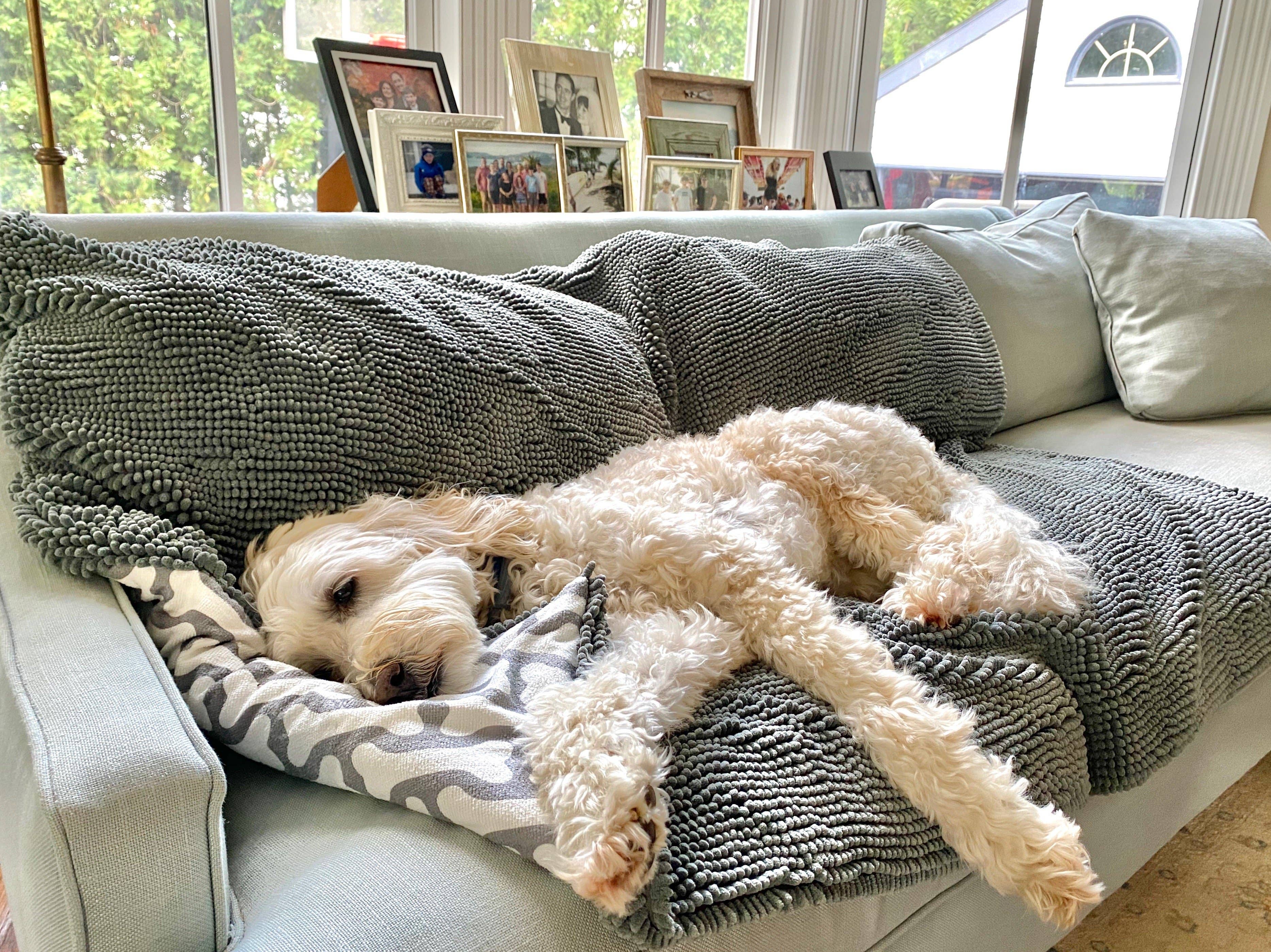 Soggy Doggy Sofa Snuggler Blanket: Beige / Large 48x56"