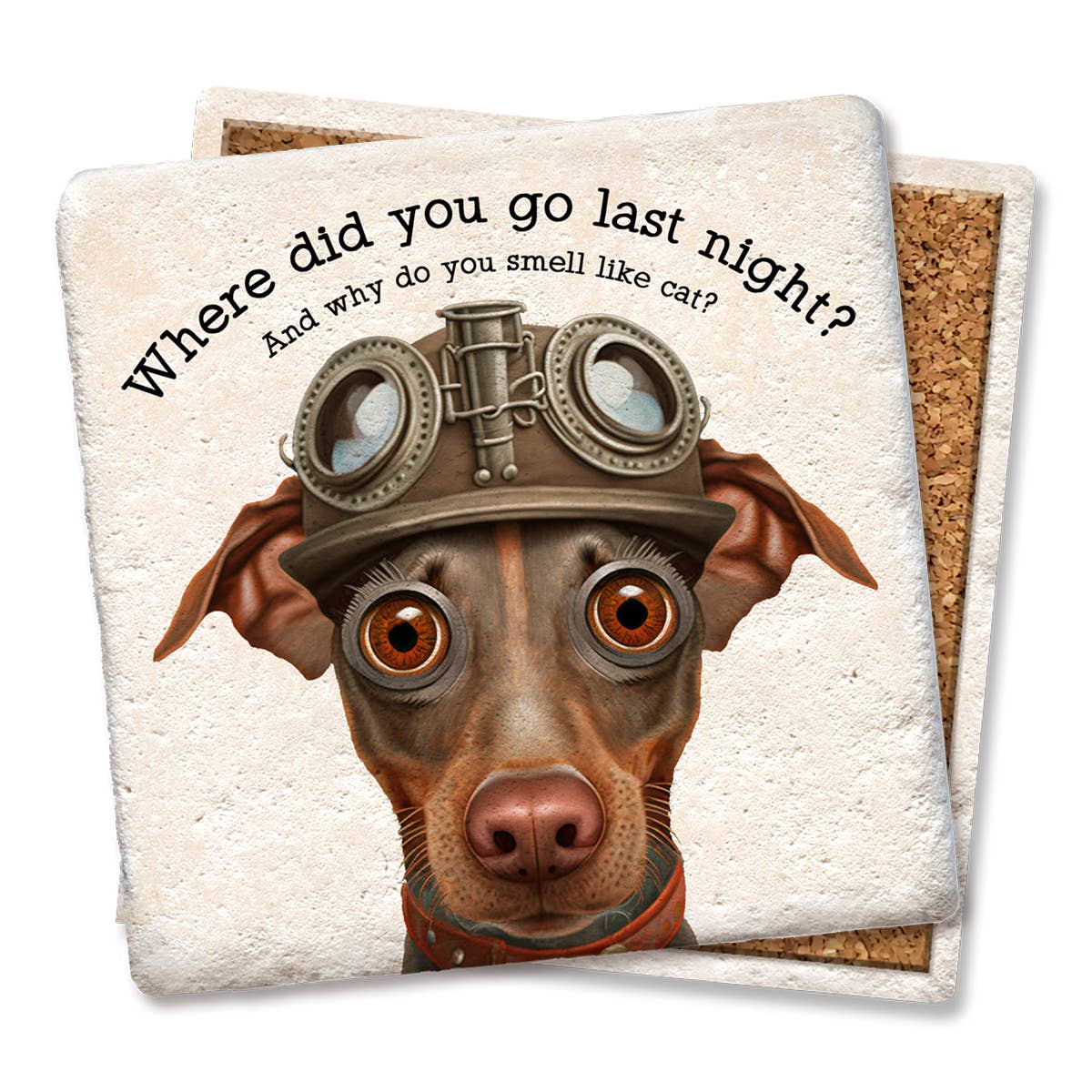 Where did you go last night? dog drink coaster: - MaisonBeach